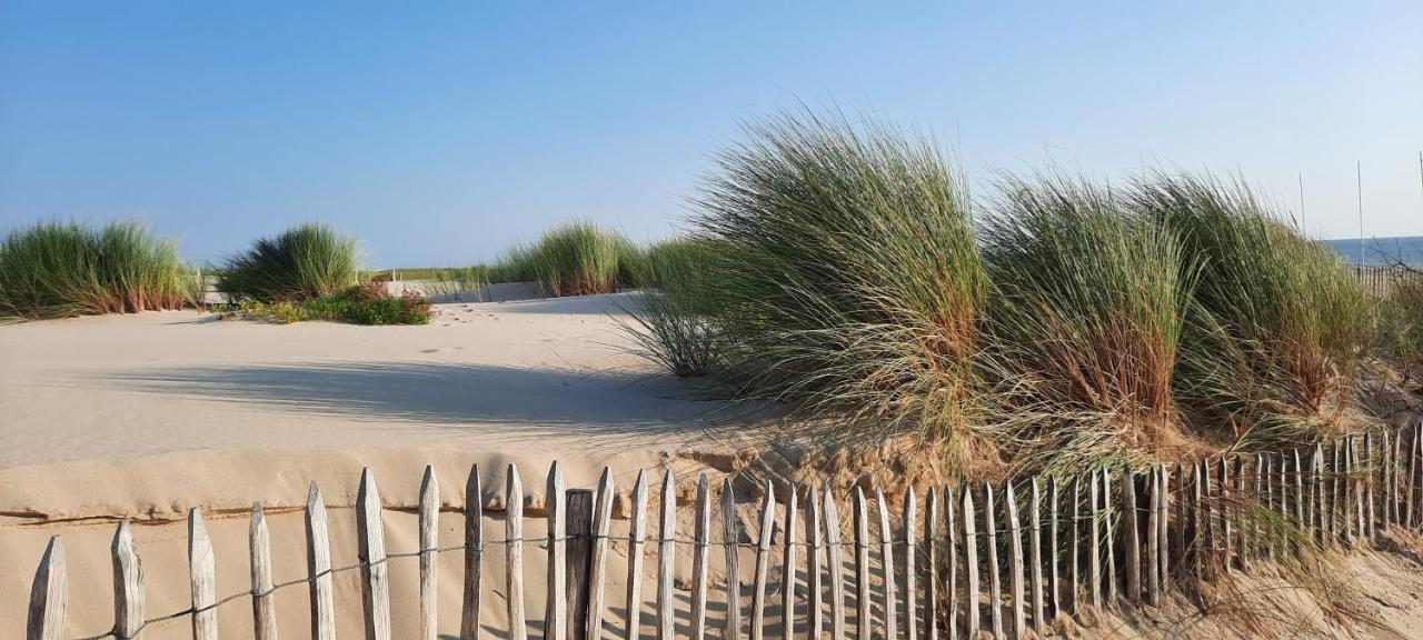 Maison Sur Le Bassin D'Arcachon 拉特斯特德布赫 外观 照片